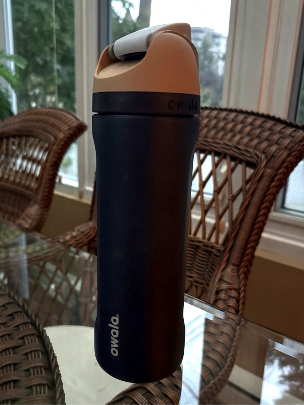 Owala water bottle